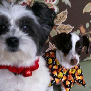 Meet your Posher, Ruby